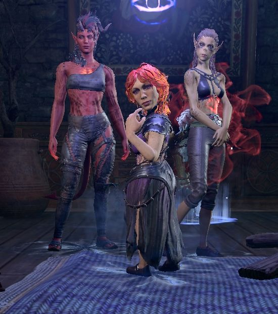 Lady Rietje with her bodyguards Karlach and Lae'zel.