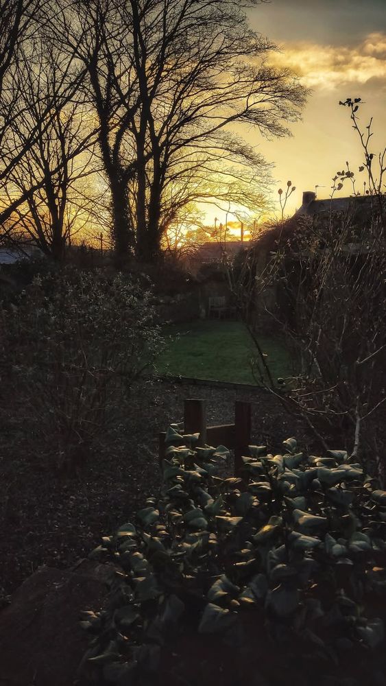 Sunset at the bottom of a garden in UK