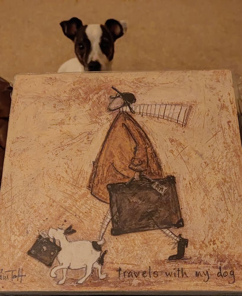 Photo of a drawing  by Sam Toft entitled 'travels with my dog'. A small dog carrying a suitcase alongside their human companion also carrying a suitcase. A real jack Russell dog is also peeping into the photo from behind the drawing