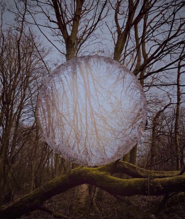 A digital collage.
A colour photograph of winter trees on on a foggy grey day in low light.
A circular photo of bare tree branches reflected in a puddle is overlaid onto the photo as if balancing on the horizontal branch across the photo.