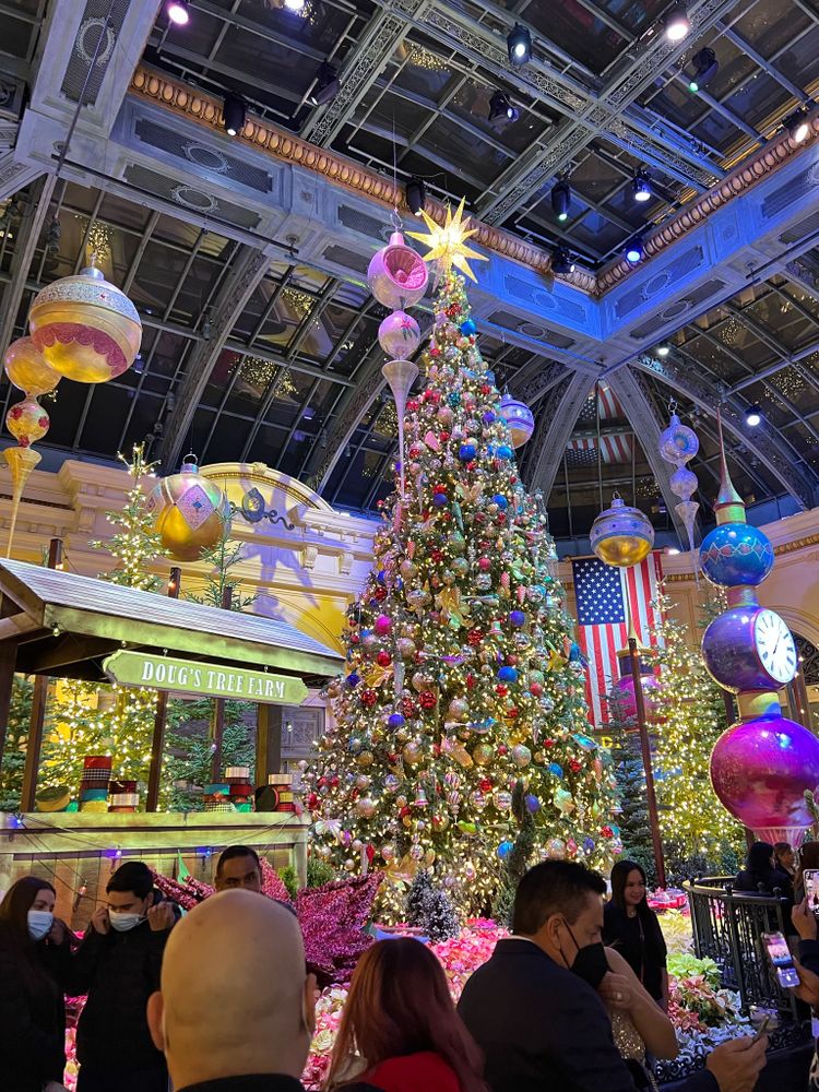 Large Christmas tree