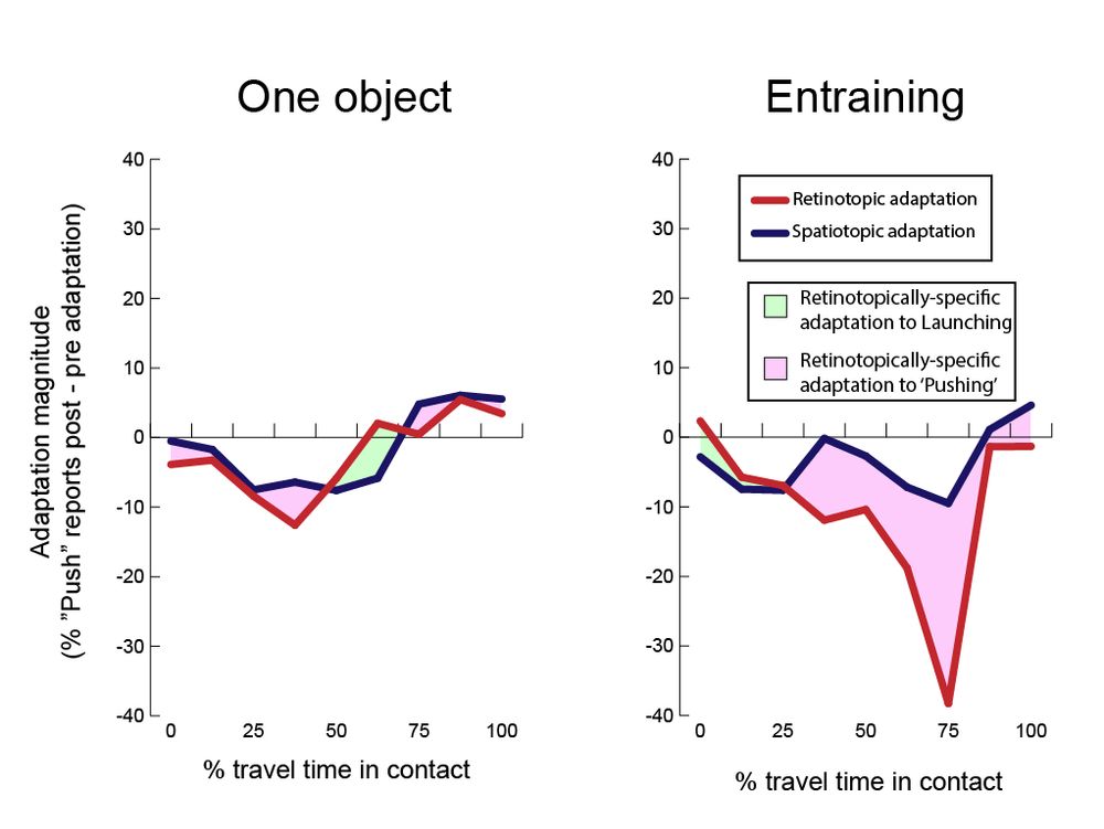 Graph showing retinotopically specific adaptation to a "one object" event and an "entraining" event in two panels. The "one object" event panel shows no clear adaptation effect at all, while the "entraining" event panel shows a strong retinotopically specific adaptation effect.