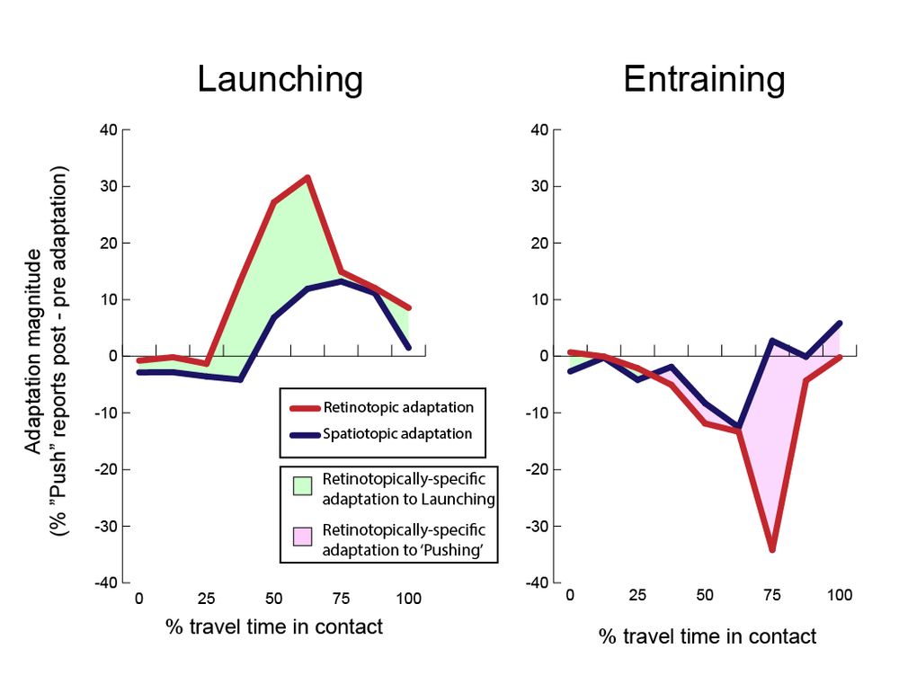 A graph showing a retinotopically specific visual adaptation effect for adapting to launching, in the left panel, and entraining, in the right panel. The two adaptation effects go in opposite directions: Adapting to launching leads to more "push" reports, but adapting to entraining leads to more "launch" reports.