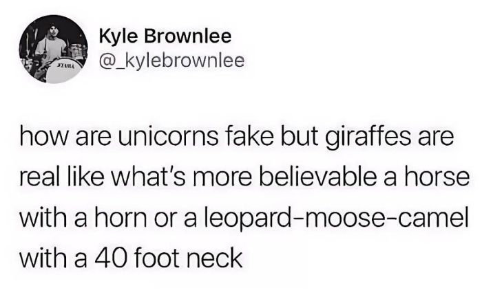 How are unicorns fake but giraffes are real like what's more believable a horse with a horn or a leopard-moose-camel with a 40 foot neck 