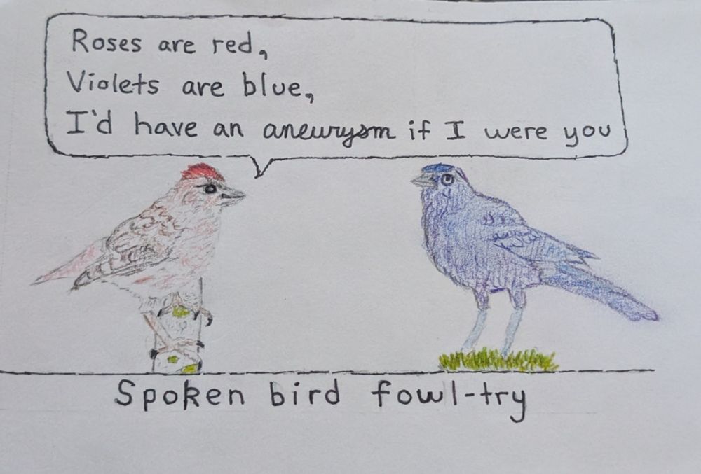 colored pencil drawing titled 'spoken bird fowl-try'. features a cassin's finch and a brewer's blackbird. The finch says "roses are red, violets are blue, I'd have an aneurysm if I were you". The word aneurysm is written in cursive, as opposed to the rest of the speech bubble written in print.

The finch has a red head and brown/pink/white feathers. The blackbird is colored with various shades of blue and purple. The finch is standing on a log that has some moss on it. The blackbird is standing on some grass

I traced the birds using the card art from the board game Wingspan as I am not a free-hand artist