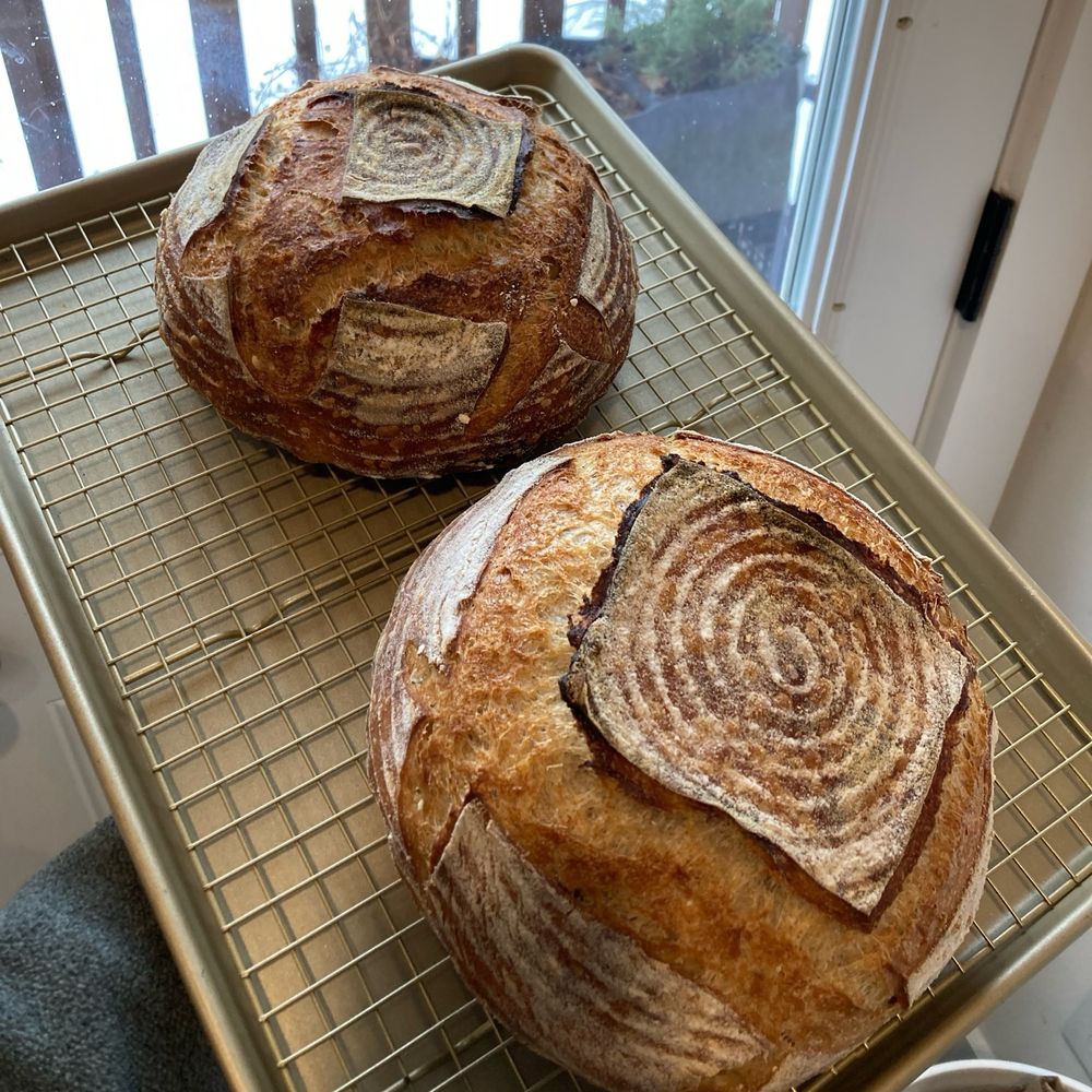 Two loaves of sourdough bread sit on a wire rack in front of a window. Outside the house, there’s a little bit of melting snow on the ground and a rosemary plant in a planter.