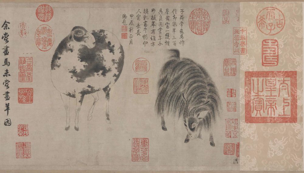 Round sheep and goat