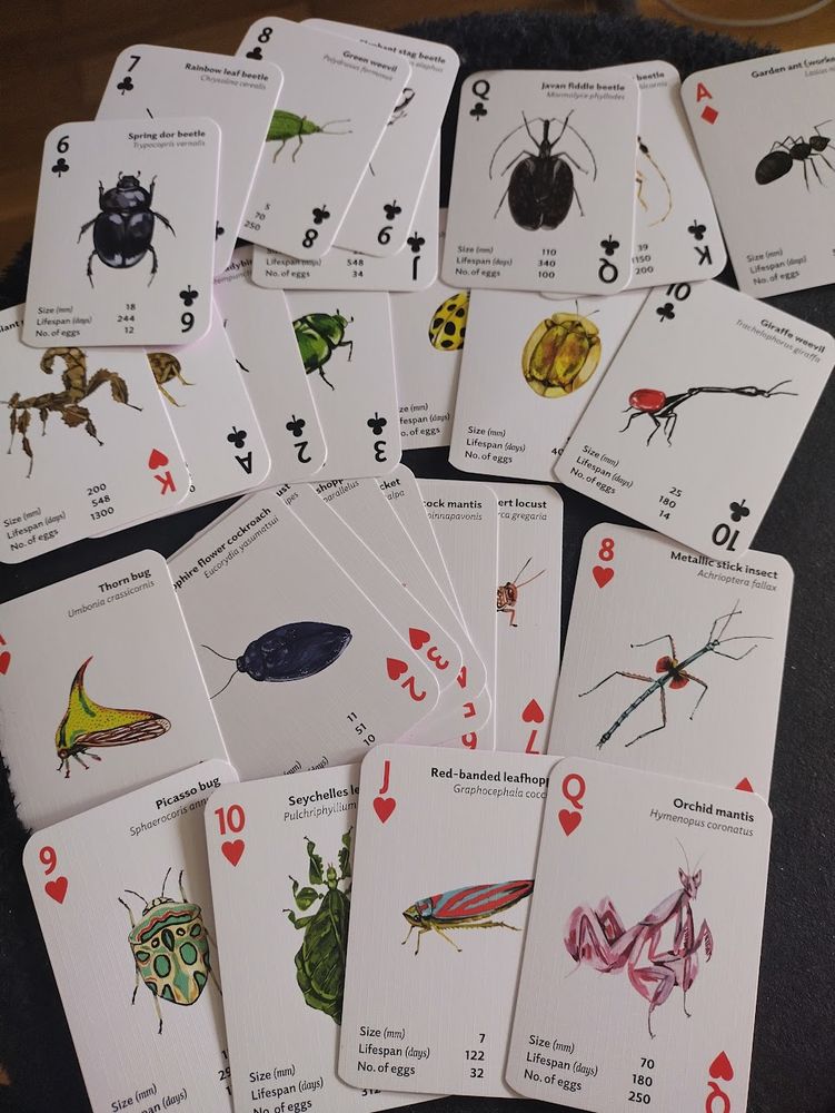 A standard set of playing cards showing lots of pretty insect illustrations. Common names for each are provided along with binomial names and some stats - size in mm, lifespan in days, and the no. of eggs.