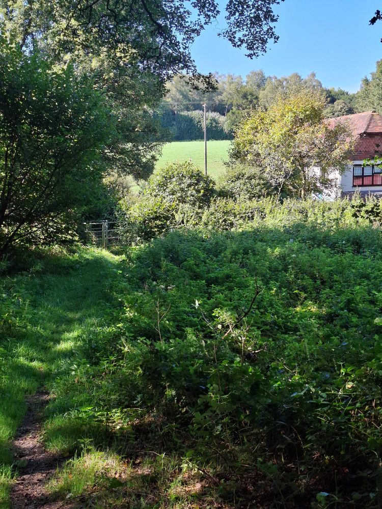 Trees nestled in a gentle valley. Old cottage peeps above the hedges.