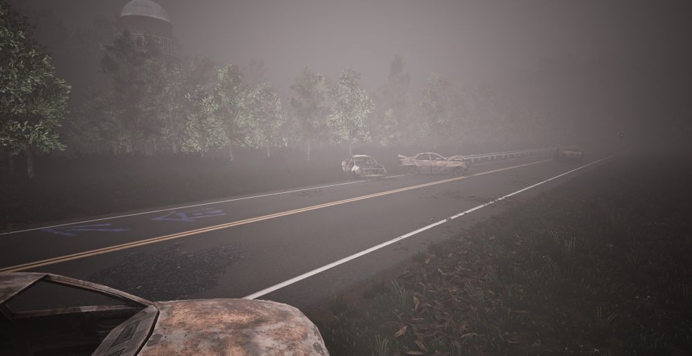 Screenshot from TheGreyRoad, showing a road with small details like leaves and cracks.