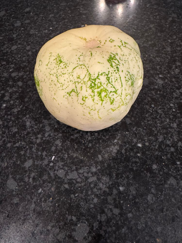 A very little snowball pumpkin. 