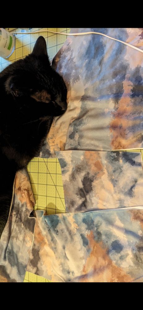 Quality Assurance personell (a black cat) sleeping on top of cut out fabric pieces. 