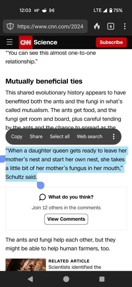 When a daughter queen gets ready to leave her mother's nest and start her own nest, she takes a little bit of her mother's fungus in her mouth, Schultz said.