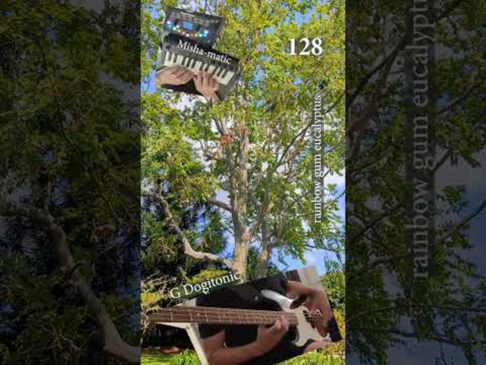 Misha matic No 128 G Dogitonic rainbow gum eucalyptus