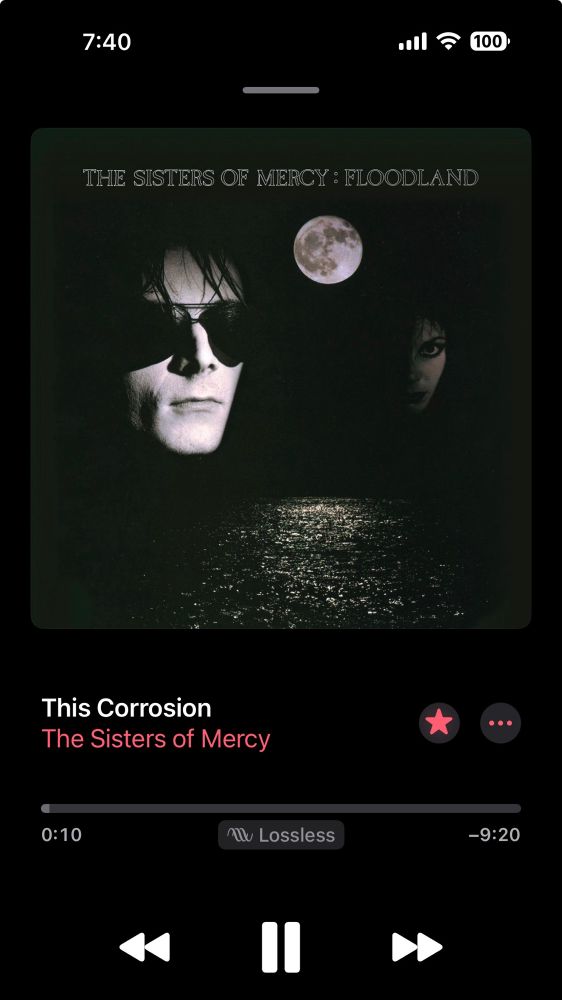 Sisters of Mercy: This Corrosion