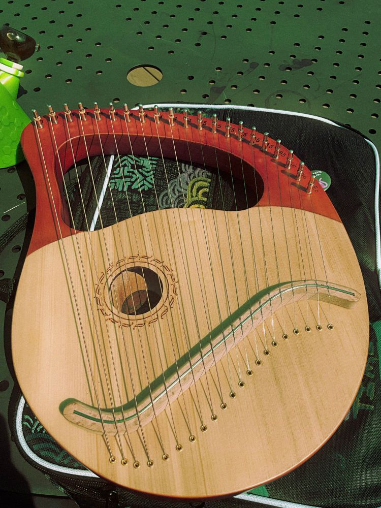 A photo lap harp. The bottom side is tan and the upper side is mahogany brown. It is shaped like a Lima bean, sitting atop a black nylon instrument case.
