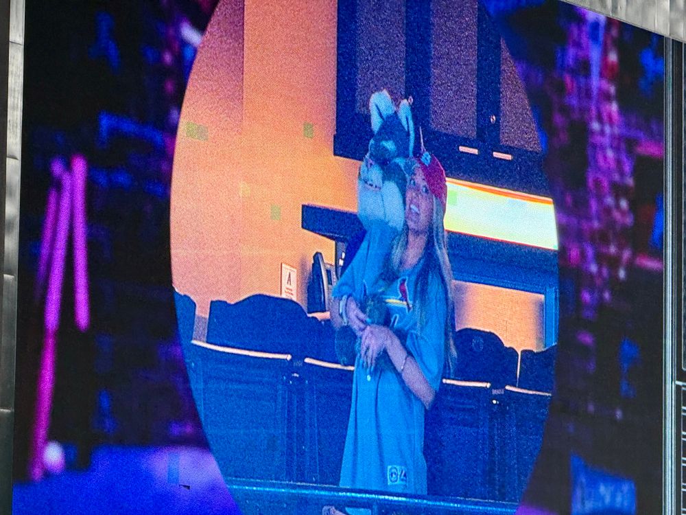 On the Kiss Cam, Arizona Diamondbacks mascot Baxter hugs and sways with a female St. Louis Cardinals fan with long blond hair who’s wearing a gray Cardinals jersey and a red ball cap. 