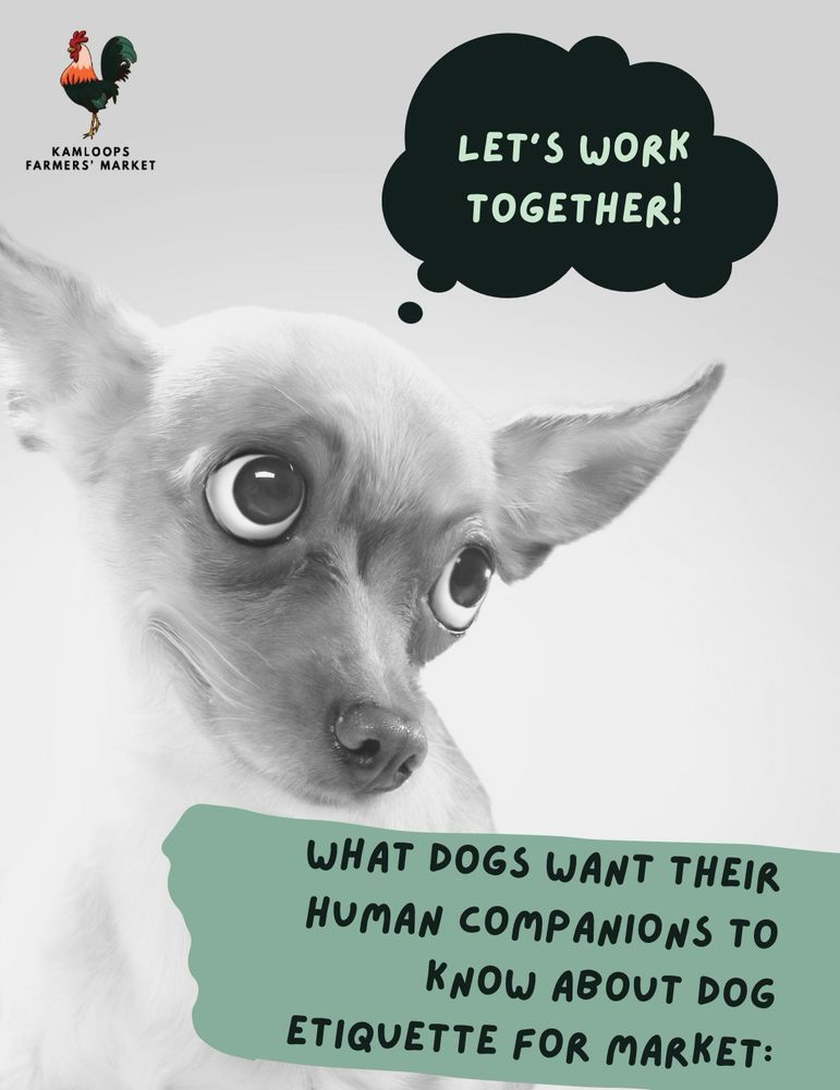 A black & white photo of a small dog with a thought bubble that says, “Let’s work together.” Below additional text says, “What Dogs Want  Their Human Companions to know about Dog Etiquette for Market:” The KFM rooster logo is in the upper left corner.  