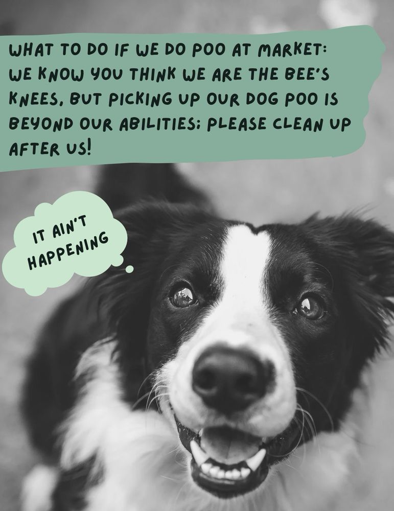 A black & white photo of a dog looking happily up at the viewer. A thought bubble says, “It ain’t happening!” Above additional text says,
“What to do If we do Poo at Market:  We know you think we are the bee’s knees, but picking up our dog poo is beyond our abilities; please clean up after us!”