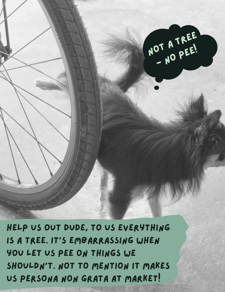 A black & white photo of a small dog peeing on a bicycle wheel. A thought bubble says, “Not a tree—no pee!” Below additional text says, “Help us out dude, to us everything is a tree. It's embarrassing when you let us pee on things we shouldn't. Not to mention it makes us persona non grata at market!”