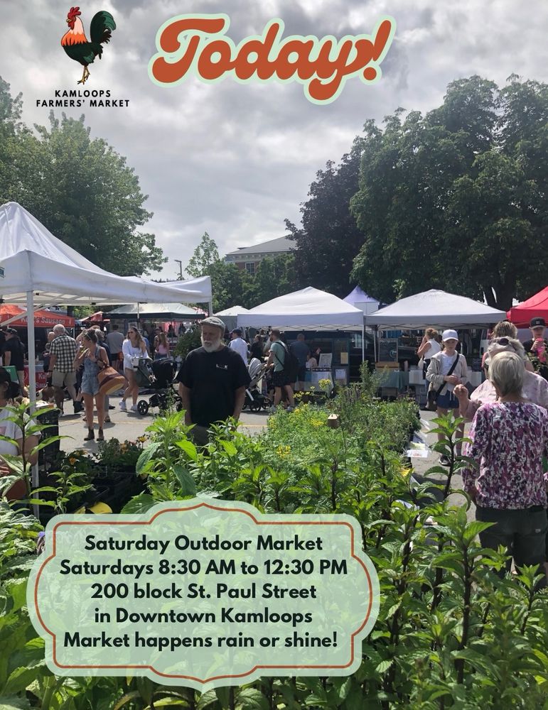 A view of the market from Country Garden Greenhouse’s booth with all of their plants on June 28th, 2025 looking south across St. Paul street towards the schoolyard.  Text on image says, “Saturday Outdoor Market: Saturdays 8:30 AM to 12:30 PM, 200 block St. Paul Street in Downtown Kamloops. Market happens rain or shine!” and “Today”. The KFM rooster logo is in the upper left corner. 