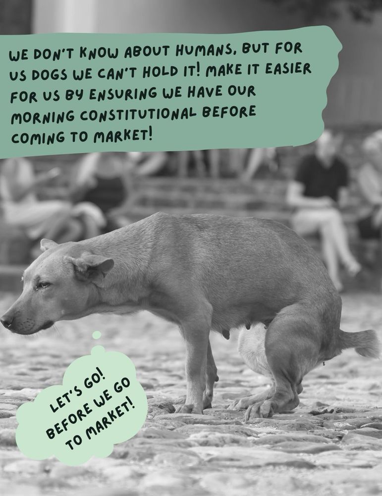 A black & white photo of a dog on a beach crouched in a position to defecate. A thought bubble says, “Let’s Go! Before we go to market! ” Below additional text says, “We don't know about Humans, but for us dogs we can't hold it! Make it easier for us by ENSURING we have our morning constitutional before coming to market!”