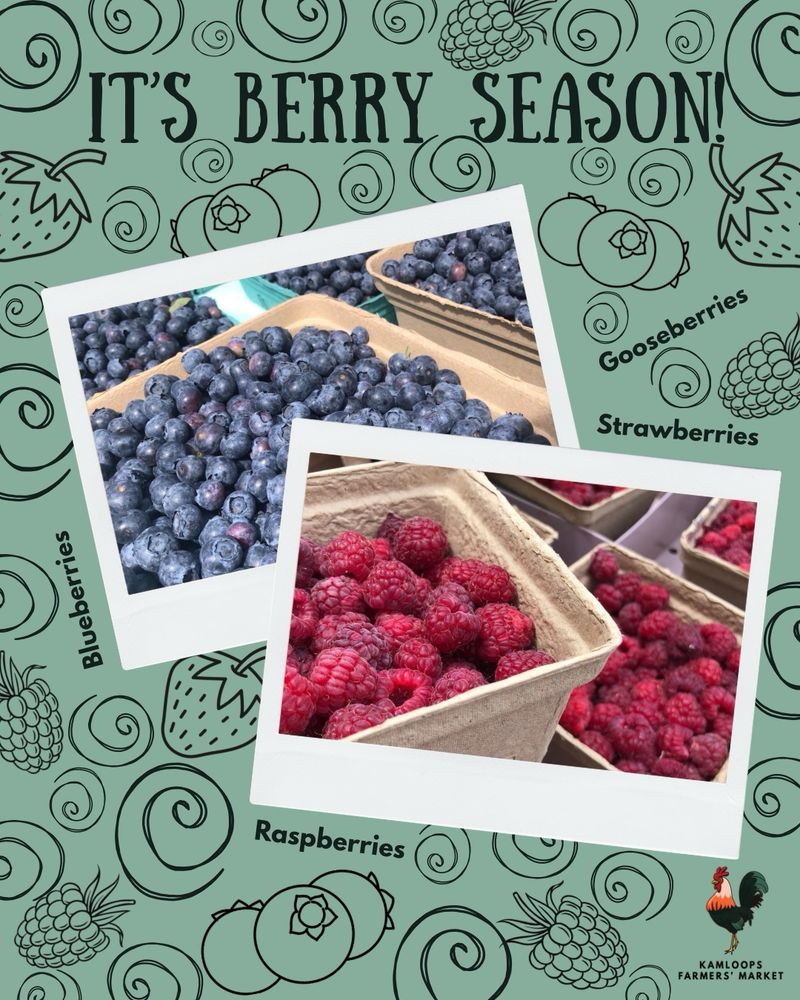 Two polaroid pictures of blueberries and raspberries are surrounded by a background of swirls and blackline berry drawings. The graphic has text which says, “It’s berry season! Gooseberries, Strawberries, Blueberries, Raspberries.”  The KFM rooster logo is in the lower right corner. 