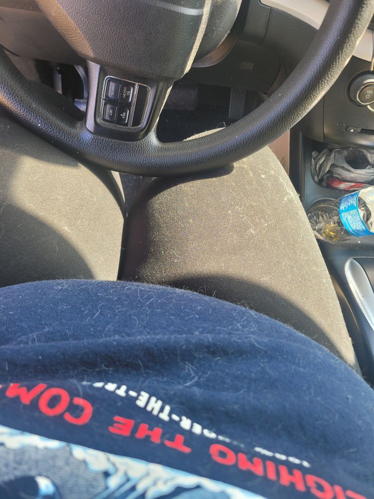 A lap with an egregious amount of hair on the shirt and legs.