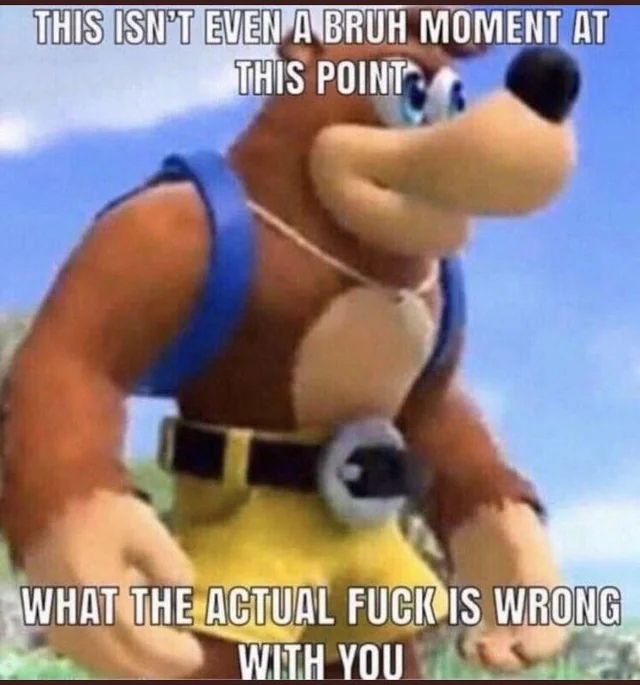 Banjo from banjo and kazooie is staring off screen with the caption: "This isn't even a bruh moment at this point, what the actual fuck is wrong with you"