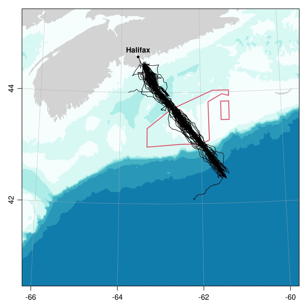 A map of the Scotian Shelf in Eastern Canada, showing repeated ocean glider mission track lines intersecting with a red polygon for a potential marine conservation area.
