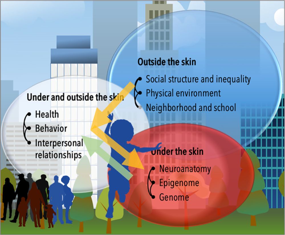 Beyond a Shared History: A Biosocial Perspective on Sociogenomics and Racism in Germany - KZfSS Kölner Zeitschrift für Soziologie und Sozialpsychologie