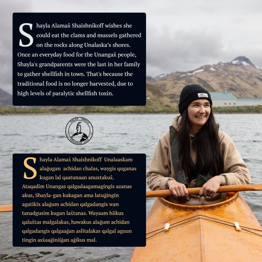 A photo of Shayla in a burnt orange coloured sea kayak, smiling and in front of mountains. To the left are screenshots from the article, showing the text in English and below, translated into Unangam Tunuu, a critically endangered language from the Aleutian Islands with ~ 150 speakers. The text reads:

Shayla Alamax̂ Shaishnikoff wishes she could eat the clams and mussels gathered on the rocks along Unalaska’s shores. Once an everyday food for the Unangax̂ people, Shayla's grandparents were the last in her family to gather shellfish in town. That's because the traditional food is no longer harvested, due to high levels of paralytic shellfish toxin.

Shayla Alamax̂ Shaishnikoff  Unalaaskam alaĝugan  achidan chalas, waygis quganas kugan lal qaatunaan anuxtakux̂. Ataqadim Unangas qalgadaagamagingis azanas akus, Shayla-gan kukagan ama latuĝingin agatikix alaĝum achidan qalgadangis wan tanadgusim kugan lax̂tanas. Wayaam hiikus qalax̂tas malgalakas, hawakus alaĝum achidan qalgadangis qalgaaĝan aslitalakas qalgal aguun tingin asx̂aaĝiniiĝan aĝikus mal.