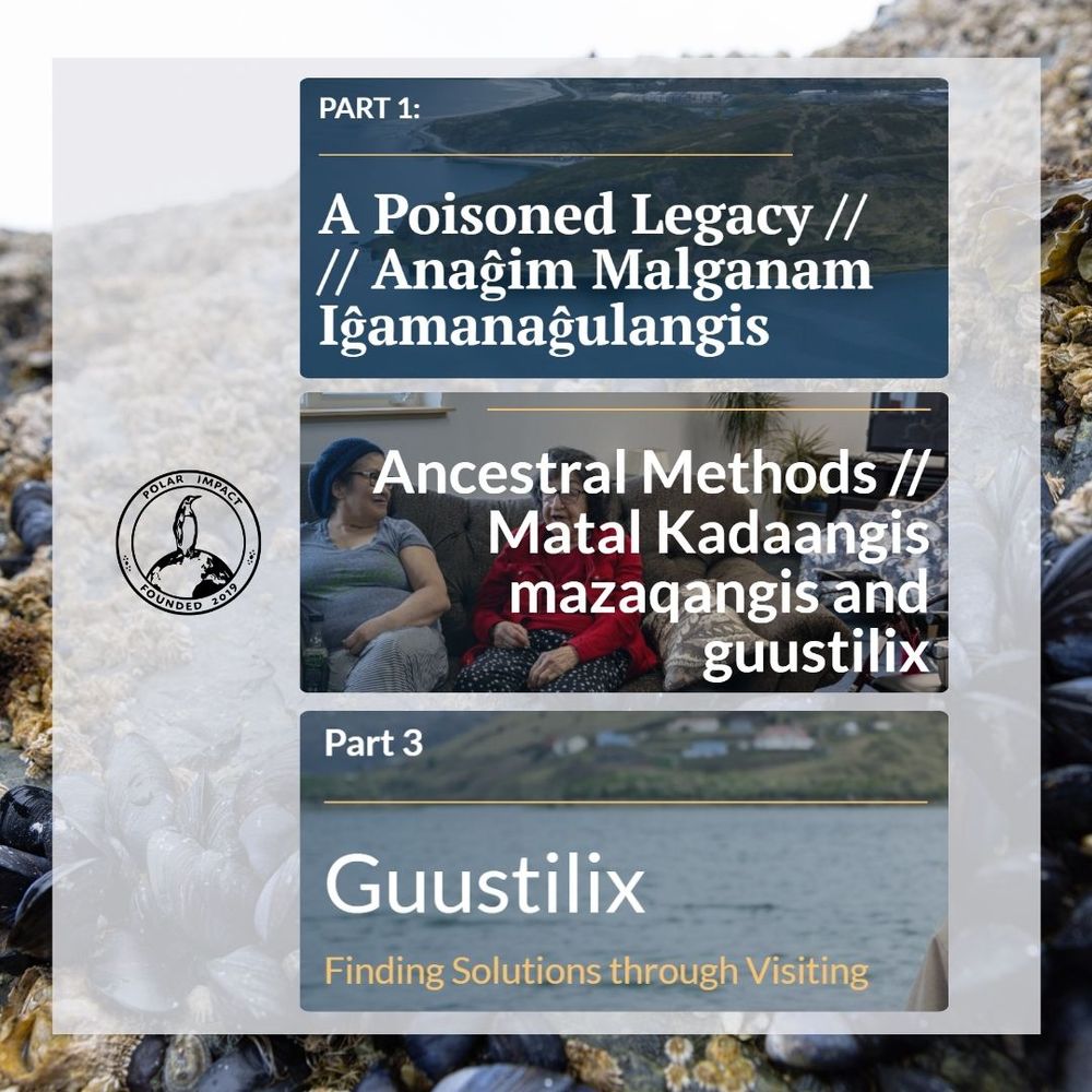 Three subheadings are highlighted in front of an opaque white square covering most of the background image of blue mussels. A Polar Impact logo with a penguin sitting atop the earth is next to the headings. The headings, from top to bottom, read: 
Part 1: 
A Poisoned Legacy // 
// Anaĝim Malganam Iĝamanaĝulangis

Ancestral Methods //
Matal Kadaangis mazaqangis and guustilix

Part 3
Guustilix
Finding Solutions through Visiting