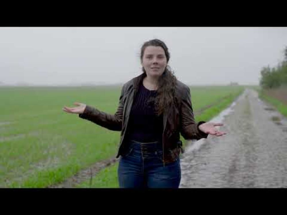 Geology of Paris-Roubaix - When did the Hell of the North break loose?