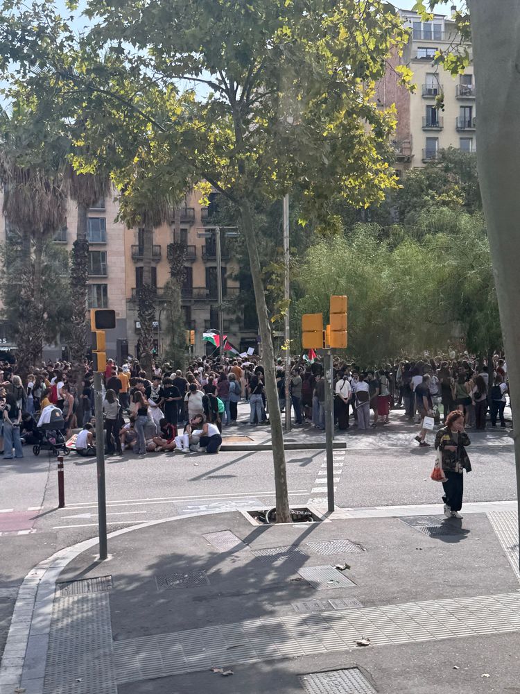 Not a great picture of perhaps 100 people protesting Israel’s actions in Gaza.