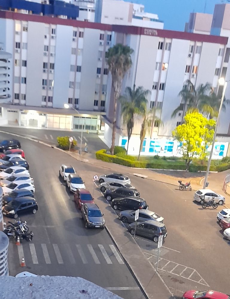 Carros estacionados irregularmente ao longo do meio-fio mesmo com placas proibitivas.