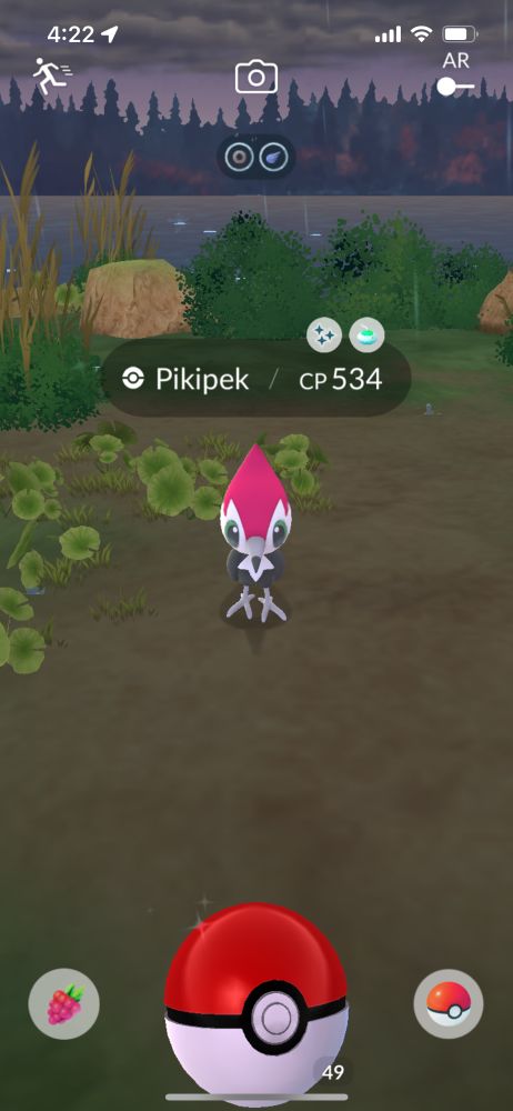 a shiny pikipek in pokemon go