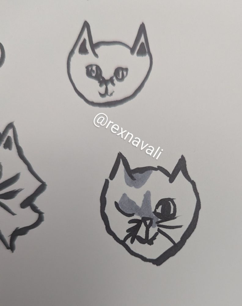 2 simple Copic marker drawings of the author's cats' faces. The central cat in the image is missing it's left eye and has patches of gray on its forehead.