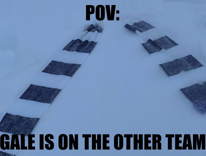 A photo of a long purple and white stripes scarf buried in snow
It’s captioned “POV: Gale is on the other team”
The photo was taken by me