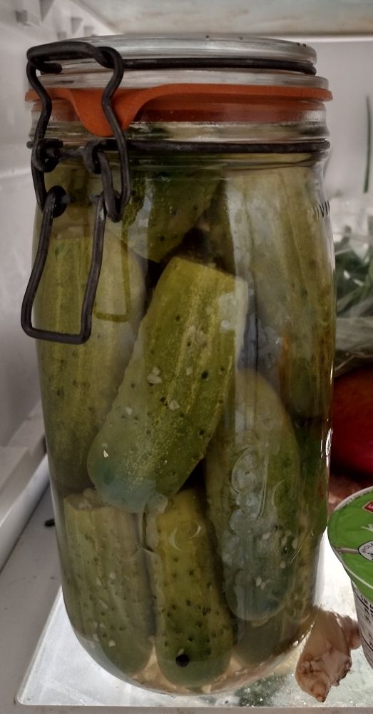 A quart of half sour pickles soon to be ready in the fridge.