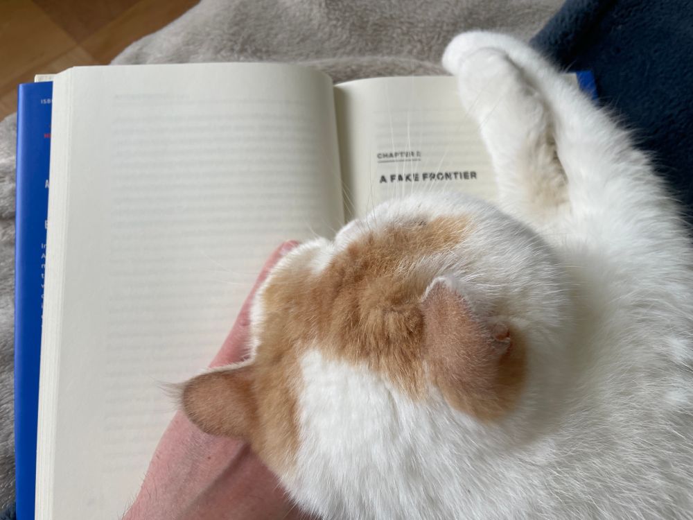 a squish-faced kitty sprawls fluffily across the first page of the second chapter of Annalee Newitz’s delicious nonfiction book Stories Are Weapons