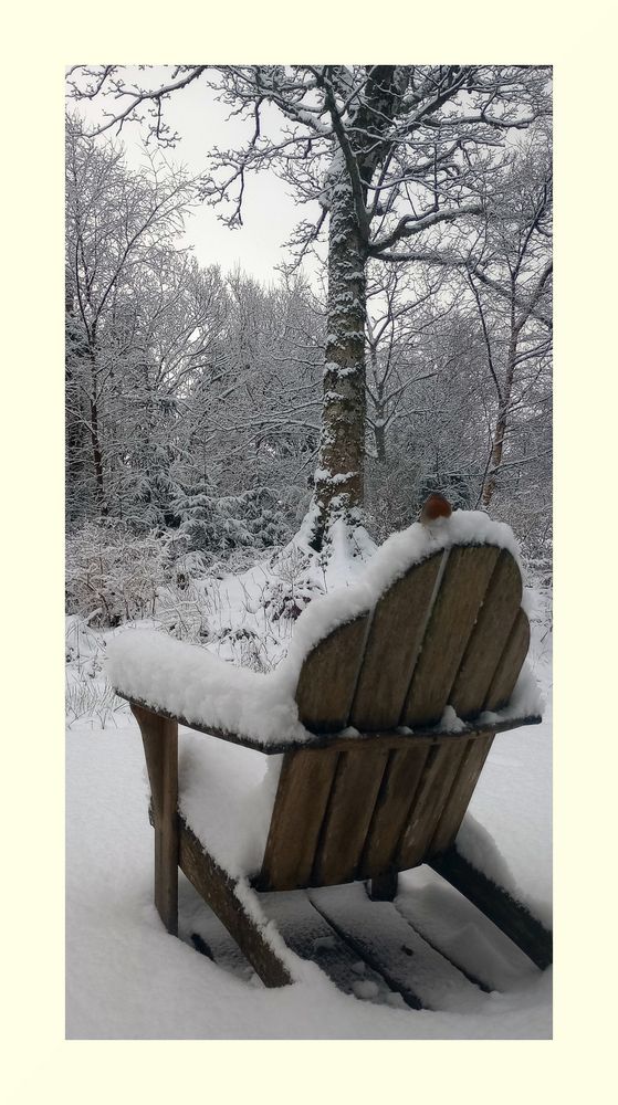Snow accumulating on a Adirondack chair, with a perched Robin upon it.