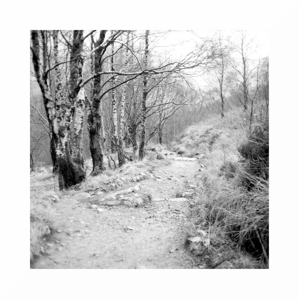 Black & White image. Square format.

Beilleag.