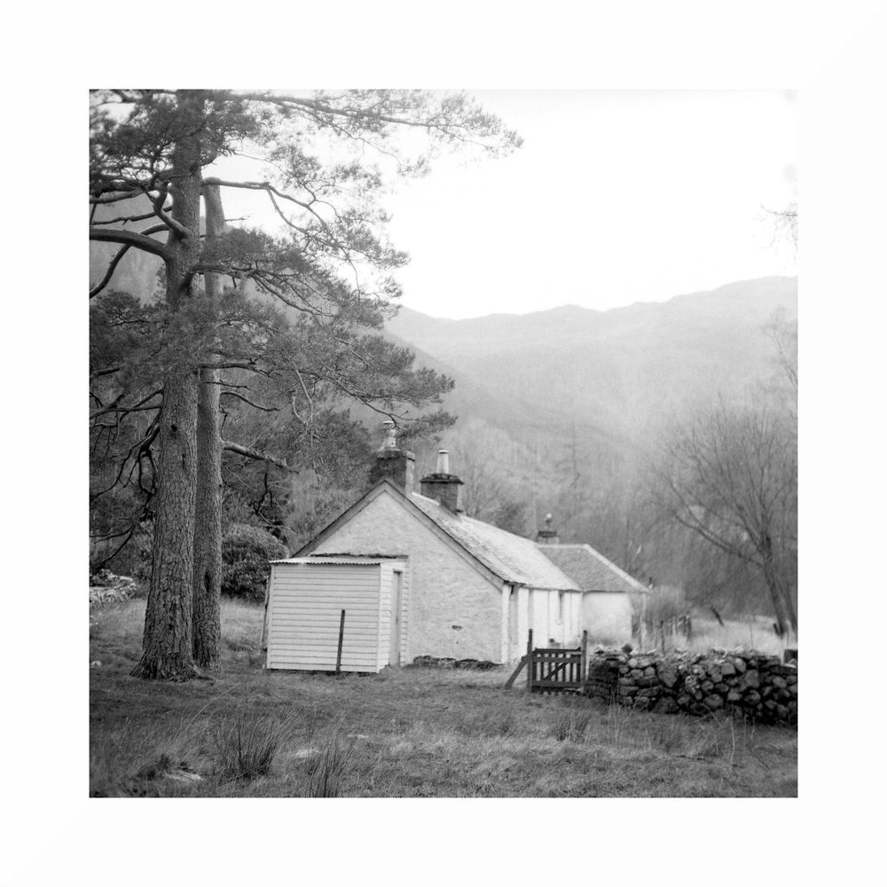 Black & White image, square format.

A white single storey cottage stands lonely with an attendant Scots Pine.