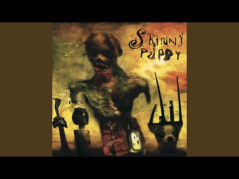 Grave Wisdom (Brap Version)