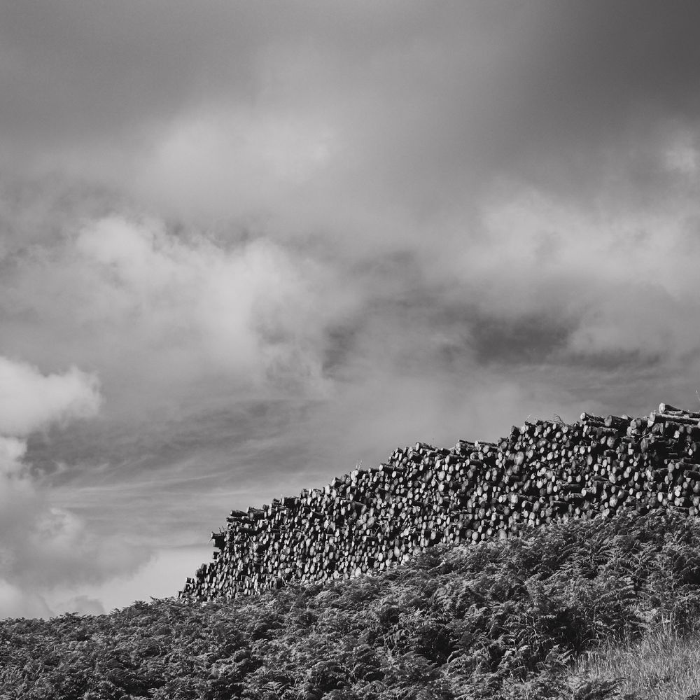A black and white photograph of a large stack of logs on top of a grassy bank. The sky above has fluffy clouds. 