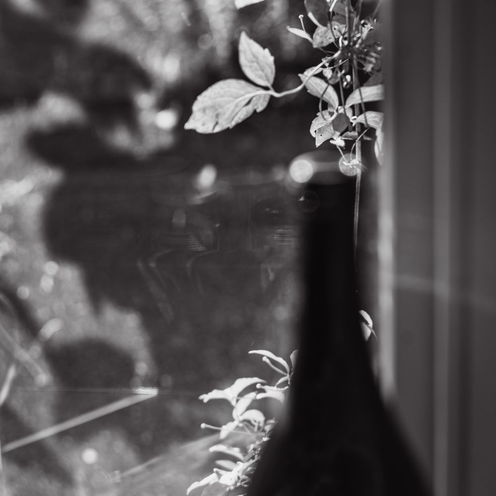 Black and white image of a window reflection. Leaves and branches are visible in the foreground, with soft shadows and reflections on the glass. A dark, blurred wine bottle, is positioned on the right side, creating an abstract composition.
