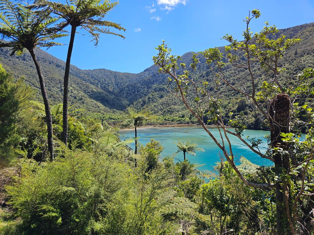 A sheltered bay with clear blue water, surrounded on three sides by hills covered in trees and vegetation. It is sunny, and the sky is blue