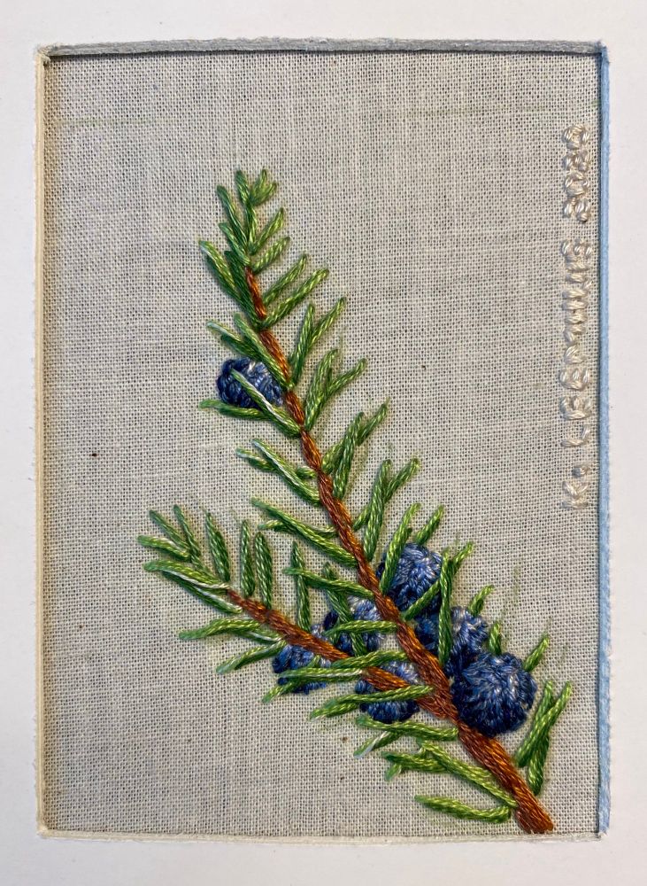 A small embroidered sprig of juniper, with blue juniper berries, all made to look real and dimensional.