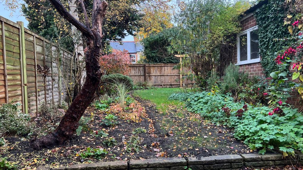 Suburban garden in winter 